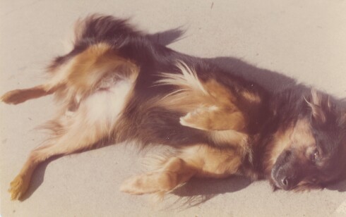 102.jpg, 27329 bytes, 7/6/02