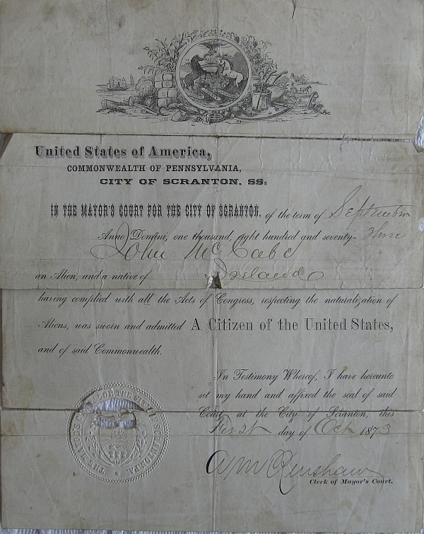 John McCabe Citizen Certificate 1873