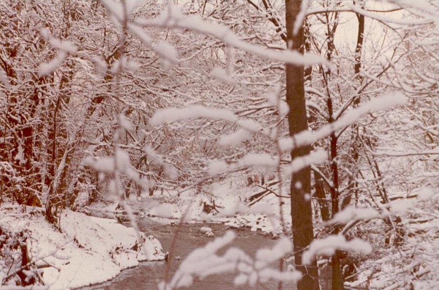 1975, the Lower Rouge River woods in Deep Winter